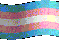 Trans Rights :)